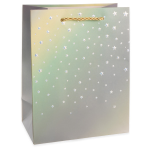 a19ab4fe_bca0_4b53_b14e_be889e0a27d0_5759a781_6090_11ef_b62a_5c6f6916e93d