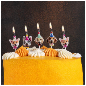 8a0681084da7159a194962eacb0a6437