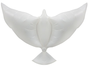 Голубь белый свадебный