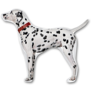 c01b94f1fd8848b29d05b014b19334d0