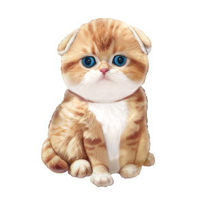 dc7b8bb658176edbc0f75aa9223f6386