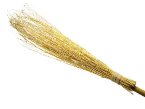 Метла Ведьмы