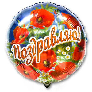 a617943d862402442e3aeff814595348