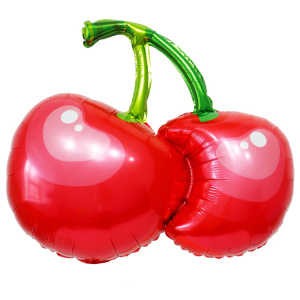 434d529a3a8cb0100829cda9c5b23686