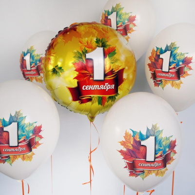 79fd081b0248f149769955a99738c363