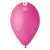 fuchsia fuchsia