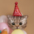 d632cb73_7adf_453f_85f2_0583b237799b_9d127b64_9aee_11ef_b62f_5c6f6916e93d d632cb73_7adf_453f_85f2_0583b237799b_9d127b64_9aee_11ef_b62f_5c6f6916e93d