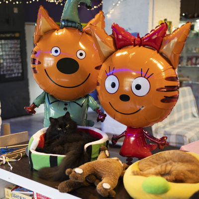 4e84fa1b_84e3_465b_84b3_c972fc877983_5205e901_6296_11ee_9234_3cecef035c95