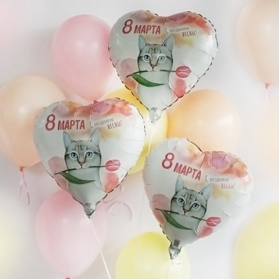 ce7bb4659cab1ee1b99d1a5baaa10610