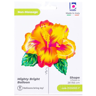 98b4a4ae1218c6fa1b51a2a8d53ff4c1