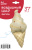 17dc9819_129a_4206_8180_96cc3c17a4de_2687bf3f_4131_11f0_b639_5c6f6916e93d