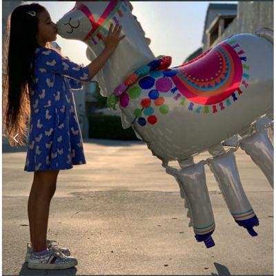 hodyachij-shar-lama-1000x1000