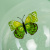 fa3945ac_e784_4c8d_bd32_ff03f2f85773_e2f5a354_8591_11ef_b62d_5c6f6916e93d fa3945ac_e784_4c8d_bd32_ff03f2f85773_e2f5a354_8591_11ef_b62d_5c6f6916e93d