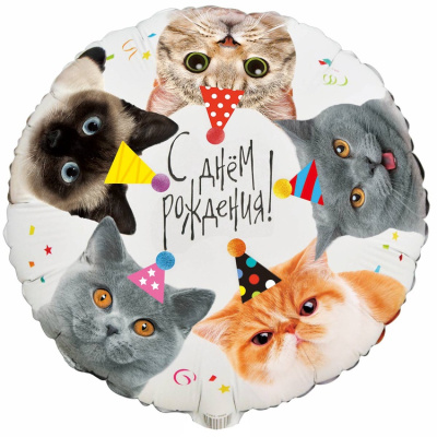 19a6e1d0a5af71330075d27900e4e9f0