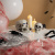 95019b76_369b_426a_bed8_578a1705b733_96252138_5dd9_11ee_9234_3cecef035c95 95019b76_369b_426a_bed8_578a1705b733_96252138_5dd9_11ee_9234_3cecef035c95